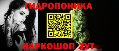 индика Краснокаменск