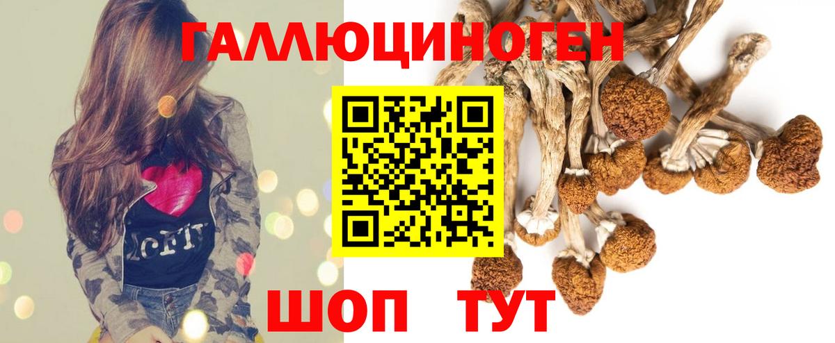 Псилоцибиновые грибы мухоморы Черняховск